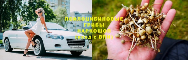 spice Осинники