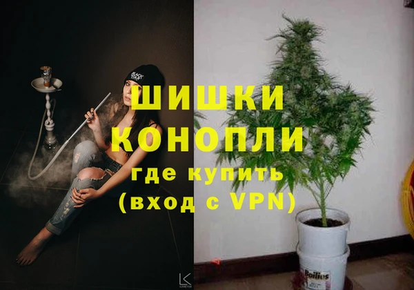 PSILOCYBIN Тайга