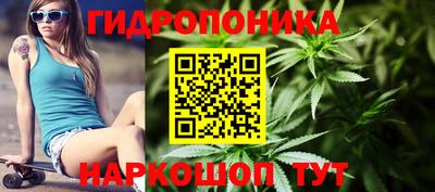 прущие крисы Жуковский