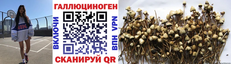 Галлюциногенные грибы Magic Shrooms  цена   Кубинка 