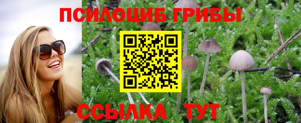 Галлюциногенные грибы Magic Shrooms Кубинка
