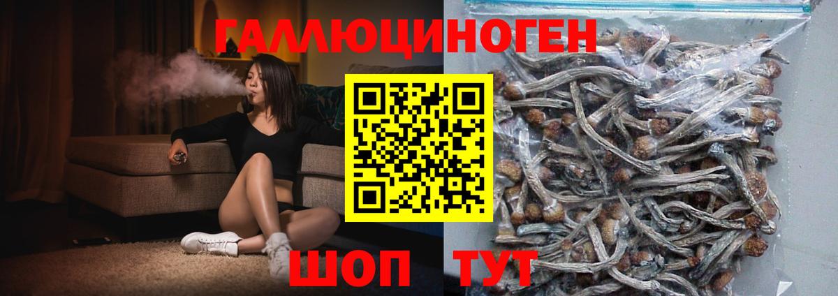 Кубинка  Псилоцибиновые грибы GOLDEN TEACHER  Вход с VPN 